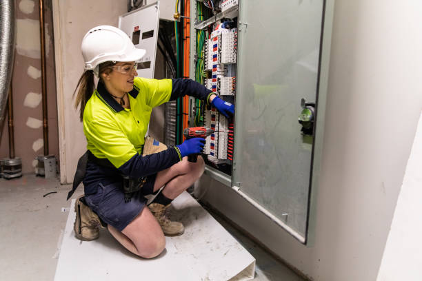 Best Local Electrician Companies  in Dimondale, MI