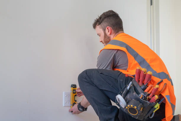 Best Electrical Rewiring Services  in Dimondale, MI