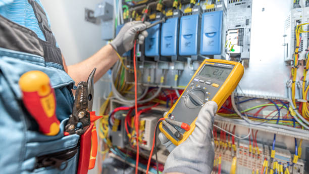 Best Affordable Electrician  in Dimondale, MI